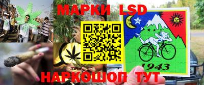 mdpv Бийск