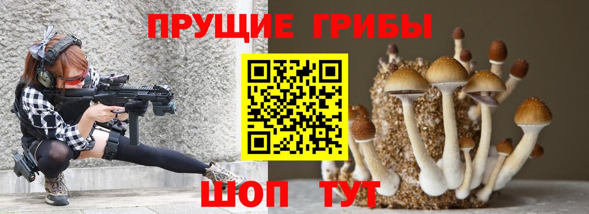 Галлюциногенные грибы Magic Shrooms  Вход с VPN  Кисловодск 