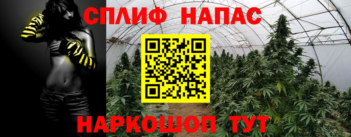 Гашиш Кисловодск
